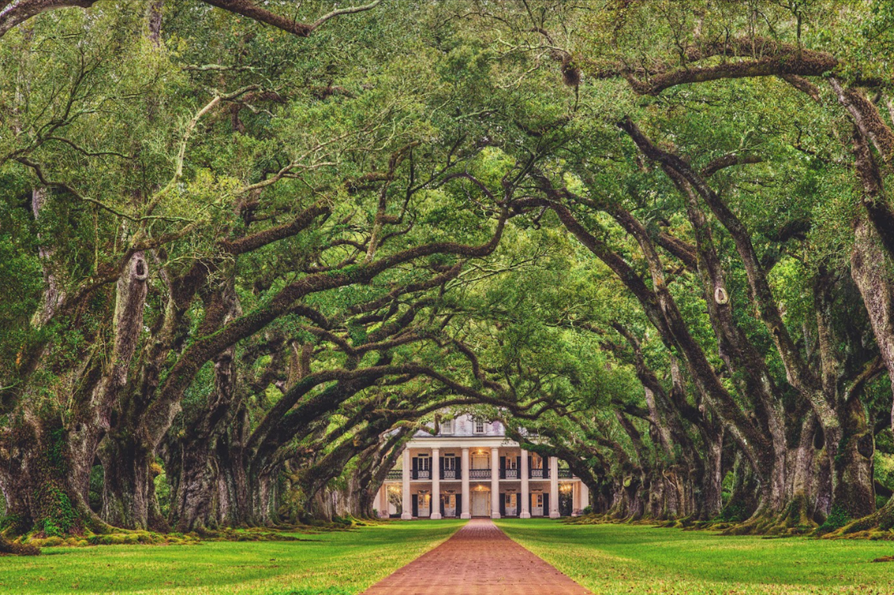Oak Alley Plantation